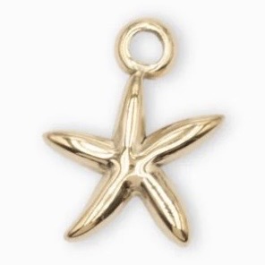 Charm Étoile de Mer